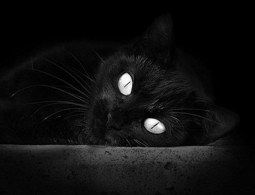 “天府新区沙滩赛场:沙滩合球突破传统,精彩纷呈”