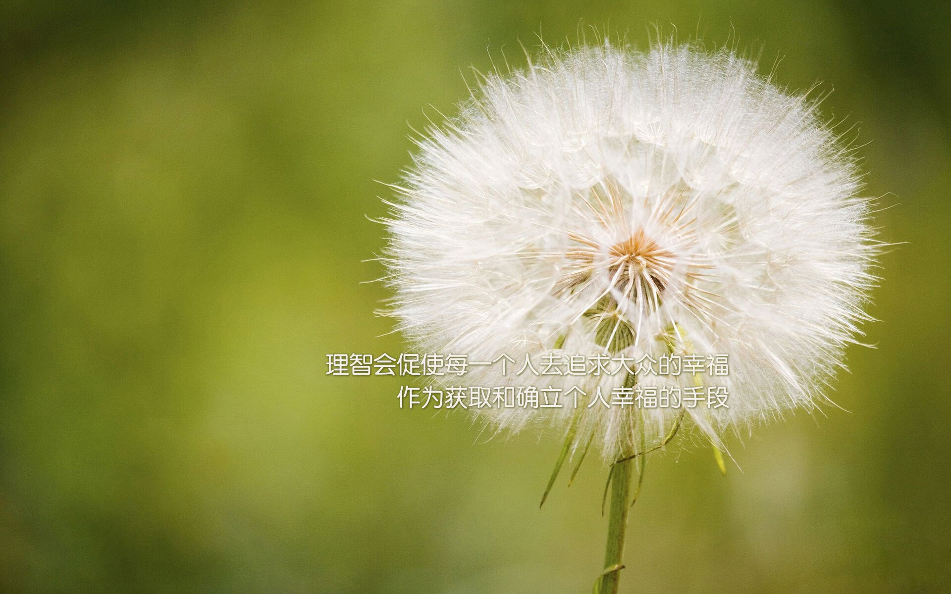 攀岩全国联赛吸引众多新面孔参赛，攀岩比赛日程